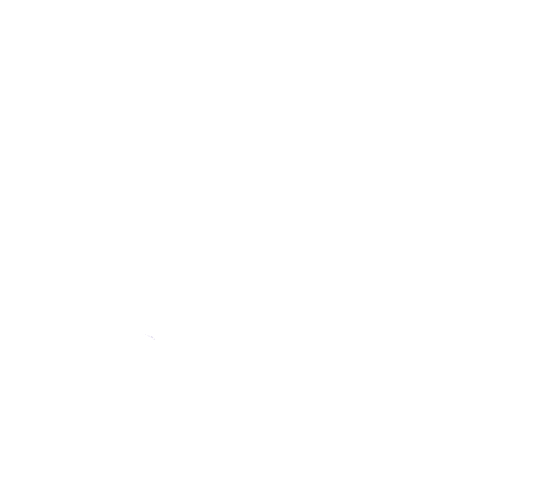 Logo Break-Out Company